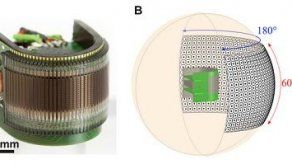 Crean primer ojo artificial compuesto inspirado en la mosca Drosophila