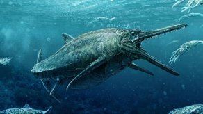 Un monstruo marino del Jurásico sale del anonimato