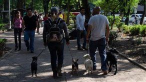 Policía investiga misterioso caso de mataperros en parque de México