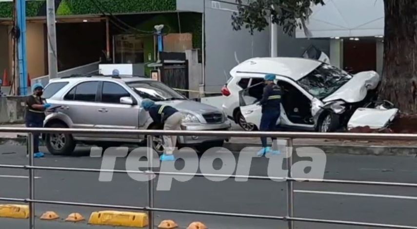 El conductor de una camioneta blanca colisionó contra un muro que estaba alrededor de un árbol.