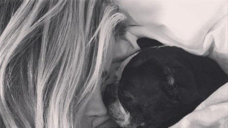 Denise Richards llora la muerte de su perra Nana