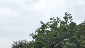 Cajas de soda caen de un camión en la Tumba Muerto