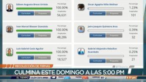 El domingo culmina el periodo de recolección de firmas