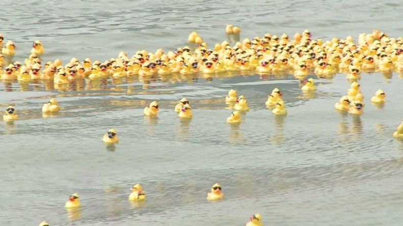 Apoyo masivo a las Aldeas SOS en la gran carrera del Patito de Hule
