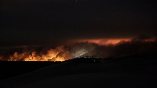 Dos grandes incendios calcinaron desde hace una semana 14,000 hectáreas de vegetación en esta zona situada al sur de Burdeos.
