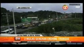 Congestionamiento en vía Centenario por articulado varado