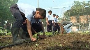Inauguran huerto en Hogar Metro Amigo