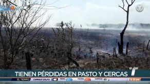 Incendios generan pérdidas en el sector ganadero de Coclé