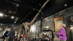 Enorme dinosaurio se subasta en 650.000 dólares