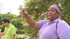 Casos de dengue se elevan y sobrepasan cifras del 2013