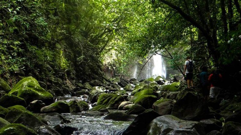 Foto Ilustrativa/ MiAmbiente