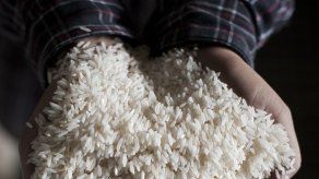 9.5 millones de dólares se ha pagado a productores