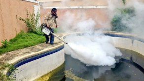 Minsa detecta potenciales criaderos de mosquitos en Condado del Rey