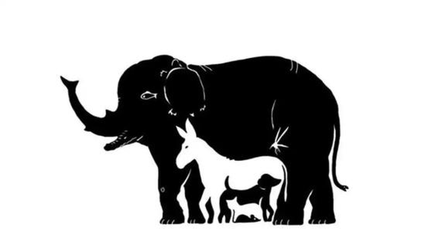 Resuelve este acertijo visual de los animales ocultos. Resuelve este acertijo visual de los animales ocultos.