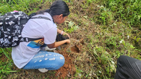 Día Mundial de Conservación de los Suelos Día Mundial de Conservación de los Suelos