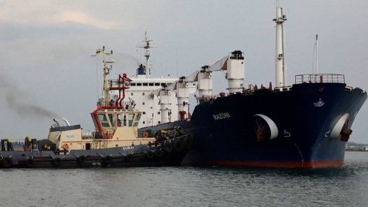 Primer barco con cereales ucranianos es esperado en Estambul después de la medianoche