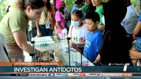 TR Verde: Veterinarios celebran su día