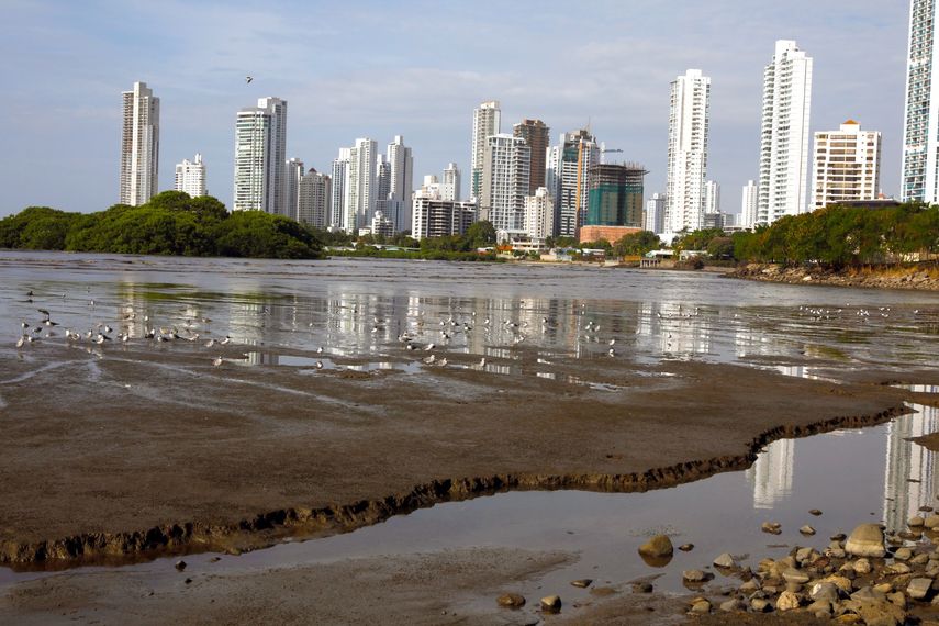 MiAmbiente destaca la preservación y protección de los humedales de Panamá Viejo