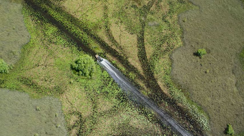 Las compañías buscan proveer cobertura de texto