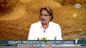 Piden a candidatos presidenciales cumplir con la ley de política agroalimentaria
