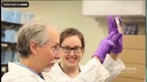 Científicos crean cromosoma artificial de levadura en EEUU