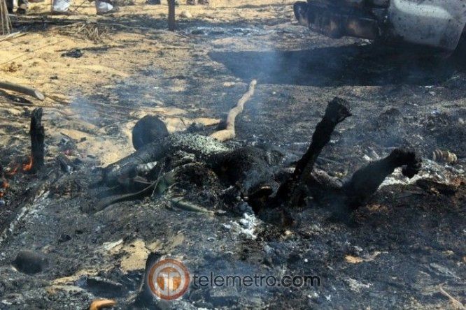 Imagenes Impactantes de la semana
