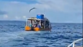 MiAmbiente intercepta embarcación MiAmbiente intercepta embarcación