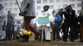 Bayer se enfrenta a una lluvia de procesos judiciales en Estados Unidos por parte de antiguos usuarios del glifosato, un herbicida comercializado por Monsanto.
