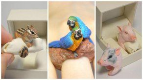 Anillos con forma de animales