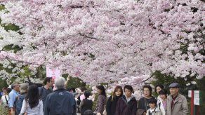 Alumna japonesa demanda a su escuela por obligarla a teñirse el pelo de negro
