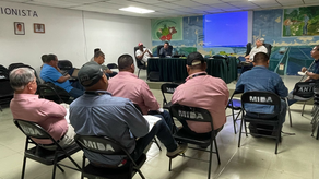 MIDA y los costos de producción del café Robusta MIDA y los costos de producción del café Robusta