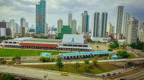 ¿Por qué la ATP taló tres Ficus en Atlapa?