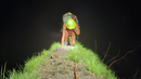 Rescatan a excursionista belga en Cerro Los Picachos Rescatan a excursionista belga en Cerro Los Picachos