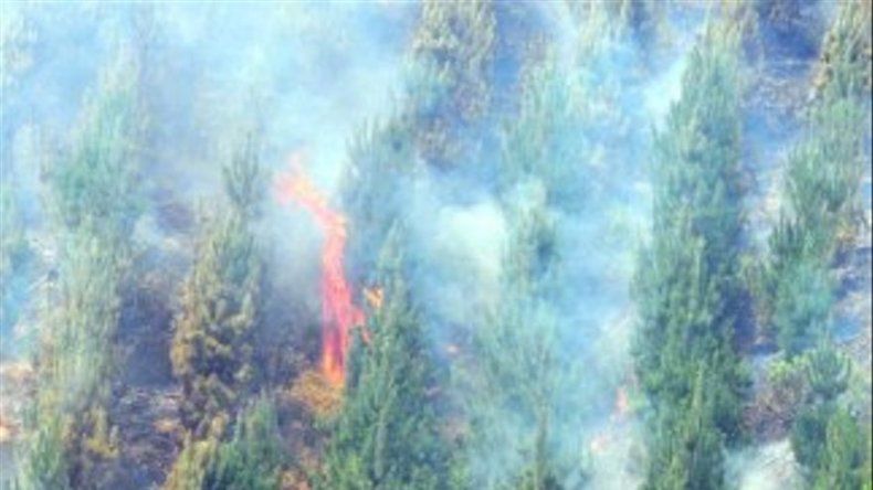Gobierno chileno acusa a mapuches de incendios intencionales