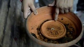 Combate al dengue en Guatemala