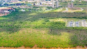 Vista aérea del manglar de Juan Díaz.