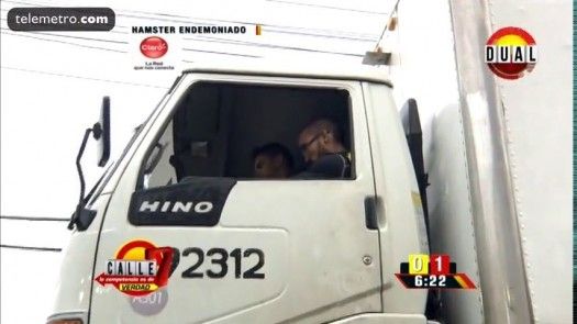 Calle 7 Panamá - Hamster endemoniado amarillos