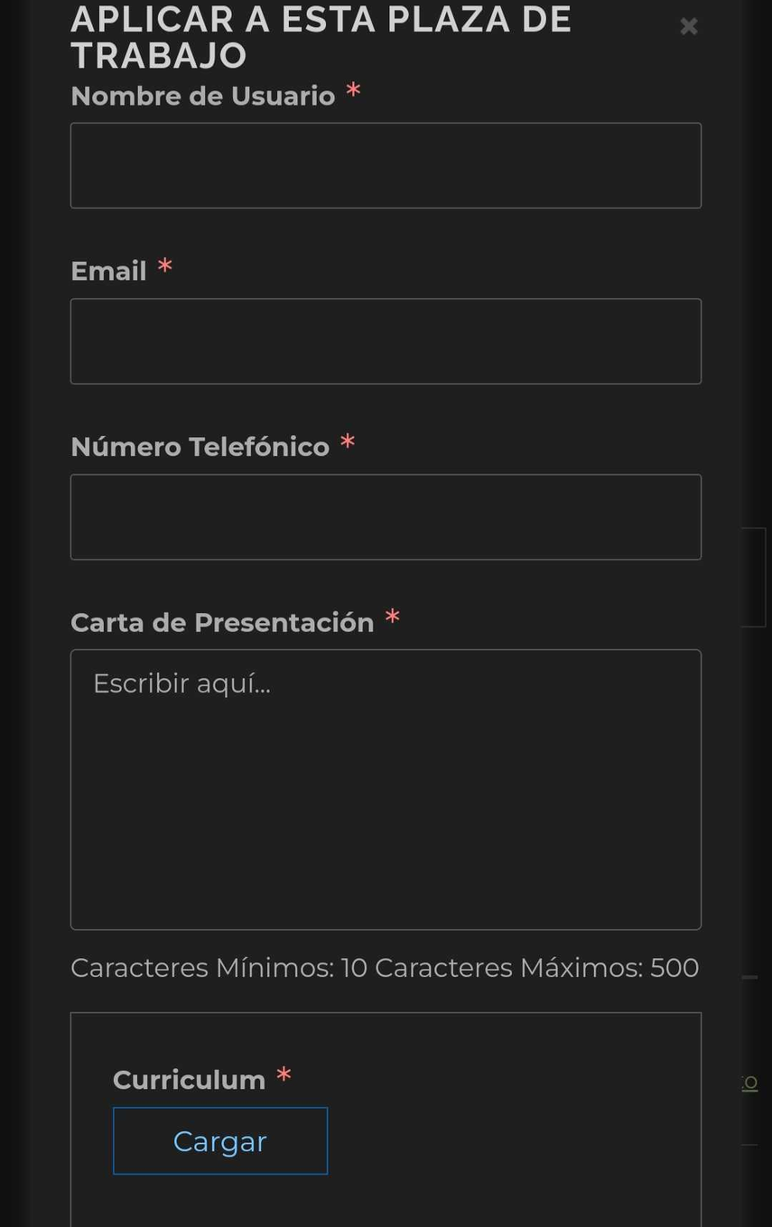 Añadir aquí el curriculum en formato doc, docx, rtf o pdf