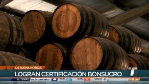 Empresa panameña es certificada por la producción sostenible de caña de azúcar