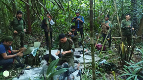 Claves para comprender la supervivencia de los niños en la selva colombiana.