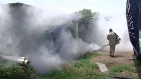 Confirman primer caso de chikungunya en Los Santos