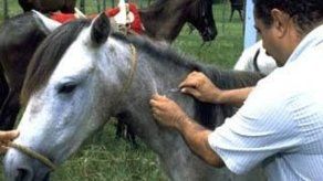 Mida realizará campaña de vacunación en Darién ante brote de encefalitis