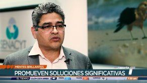 Mentes Brillantes: Panameños liderarán congreso sobre sostenibilidad