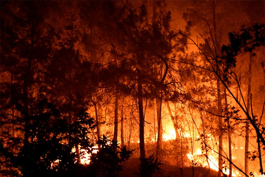 Los incendios forestales también han afectado a otros países de Europa este verano