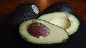 Santos confirma que aguacate Hass podrá acceder al mercado estadounidense