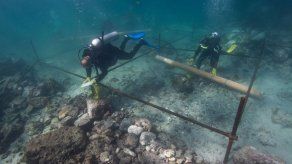 Navío portugués hundido en 1503 es hallado en Omán