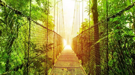 Naturaleza y relax, la fórmula de Costa Rica para eliminar estrés a turistas