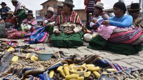 Aymaras claman para que las lluvias sacien la sed de Bolivia en sequía