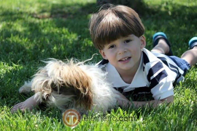 Panameños en el extranjero, también celebran