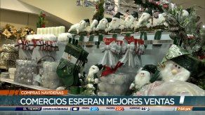 Ofertas y variadas opciones de productos de Navidad